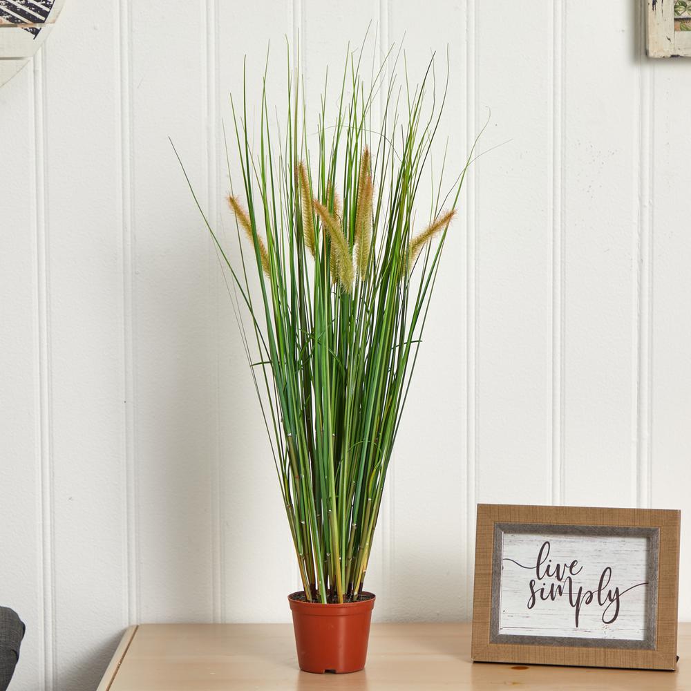 2.5ft. Grass Plant