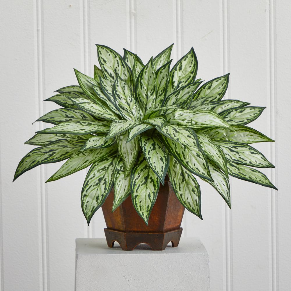 Triple Silver Queen with Hexagon Vase Silk Plant