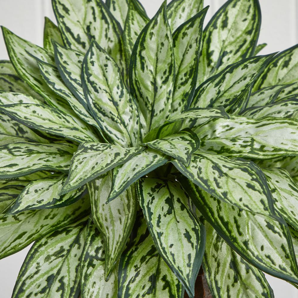 Triple Silver Queen with Hexagon Vase Silk Plant
