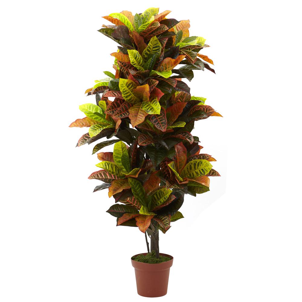 56in. Croton Plant (Real Touch)