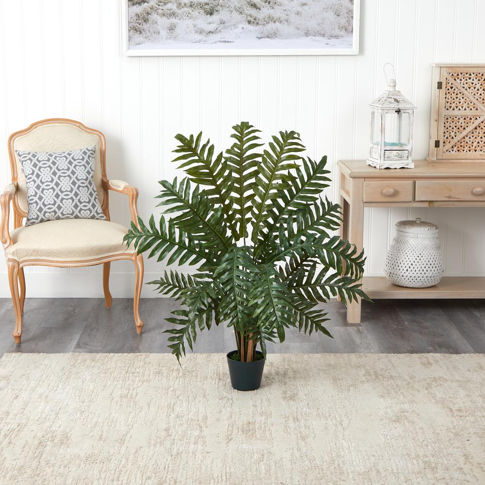 3.5ft. Evergreen Plant