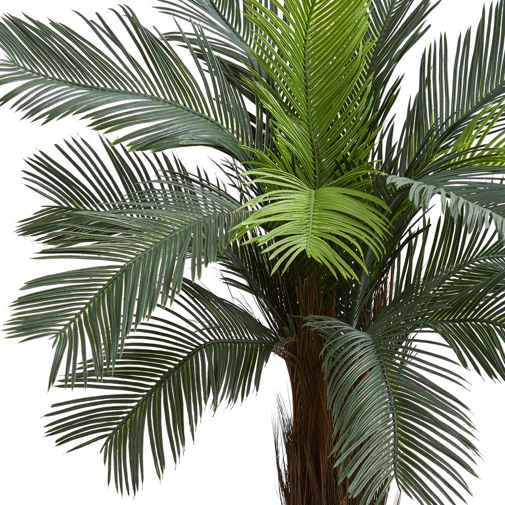 5ft. Cycas Tree UV Resistant (Indoor/Outdoor)