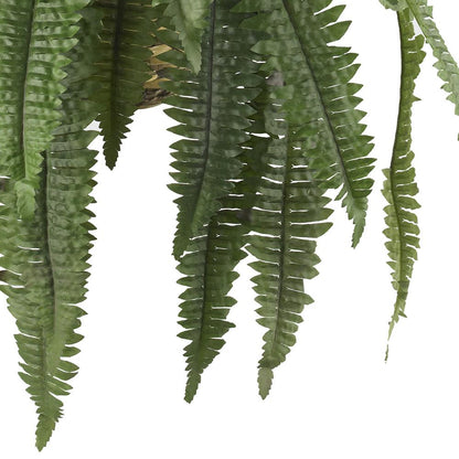 Large Boston Fern Hanging Basket