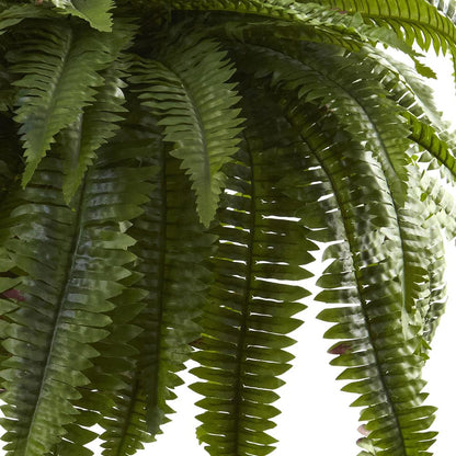 Double Giant Boston Fern Hanging Basket