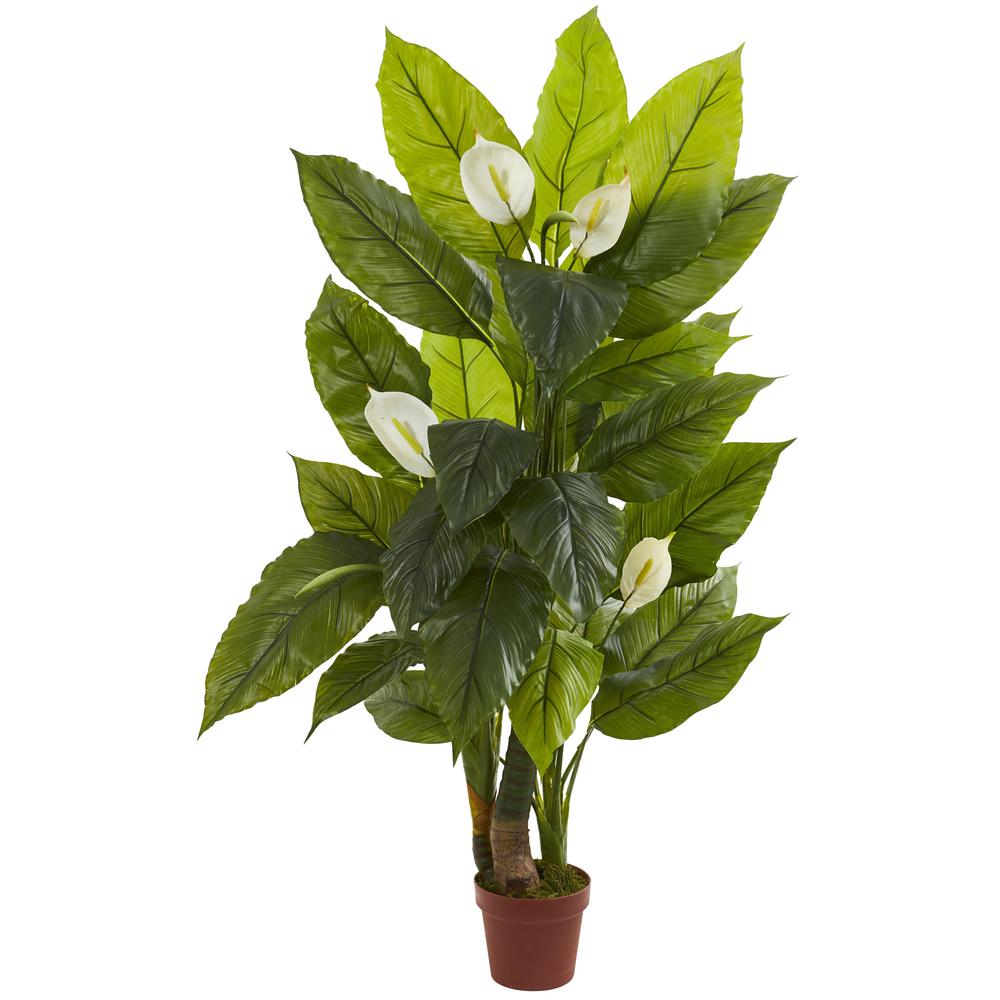4.5ft. Spathiphyllum Plant (Real Touch)