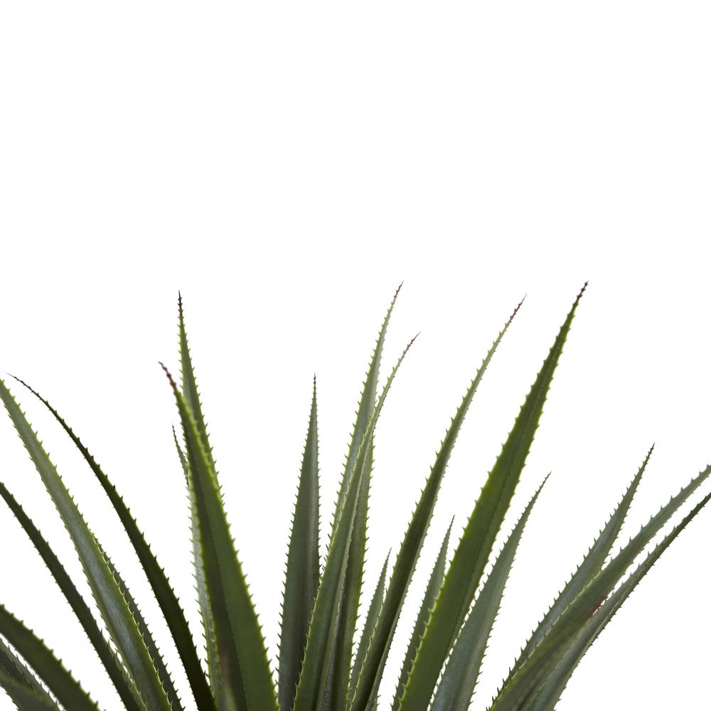 4ft. Spiked Agave Plant