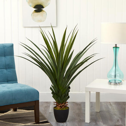 4ft. Spiked Agave Plant