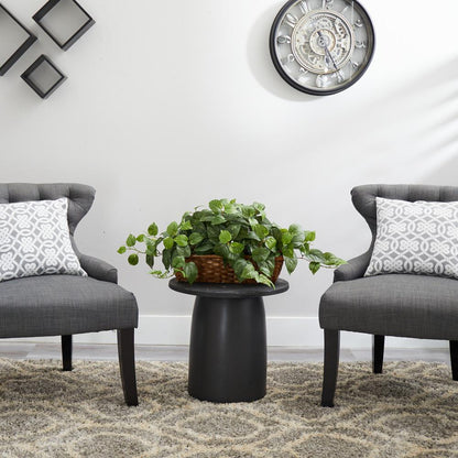 Pothos with Ledge Basket