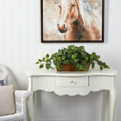 Pothos with Ledge Basket