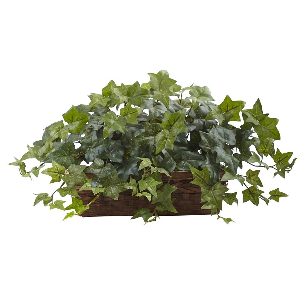 Puff Ivy with Ledge Basket