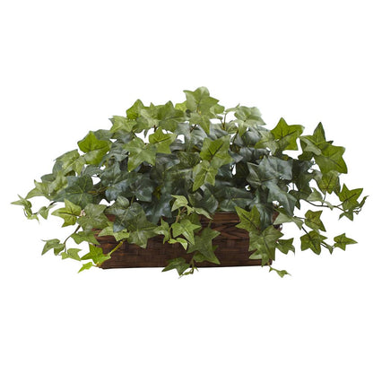 Puff Ivy with Ledge Basket