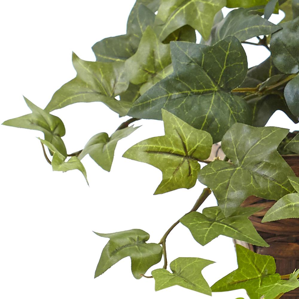 Puff Ivy with Ledge Basket