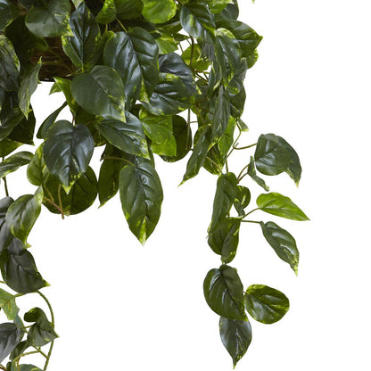Pothos Hanging Basket UV Resistant (Indoor/Outdoor)