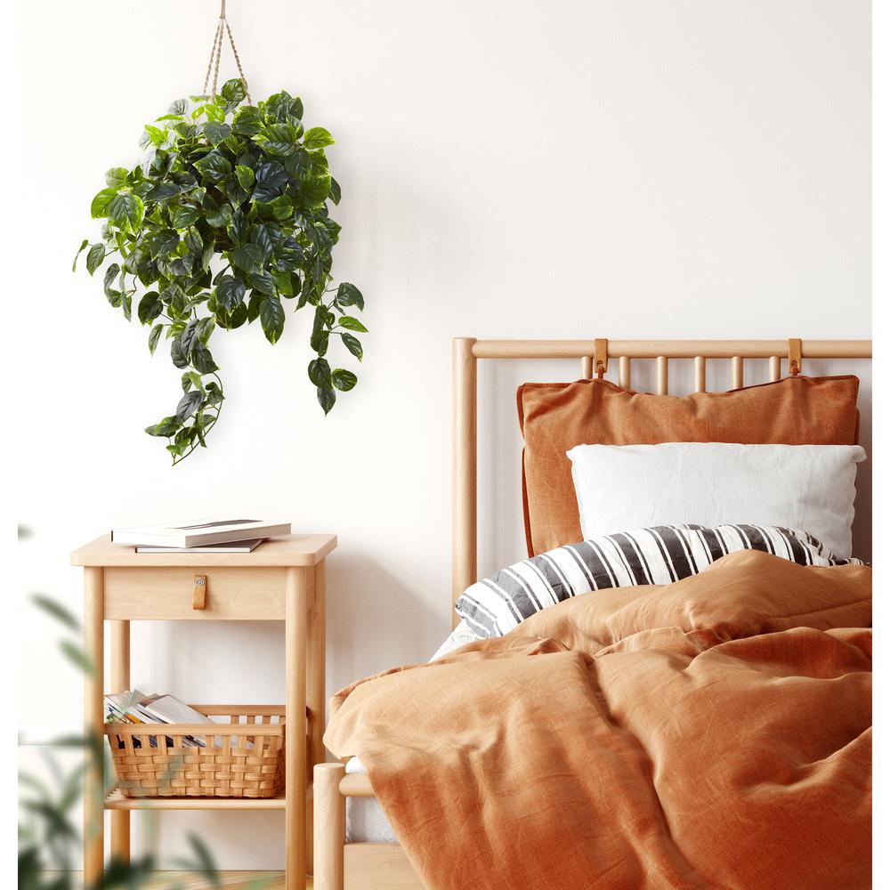 Pothos Hanging Basket UV Resistant (Indoor/Outdoor)