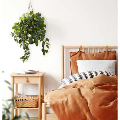 Pothos Hanging Basket UV Resistant (Indoor/Outdoor)