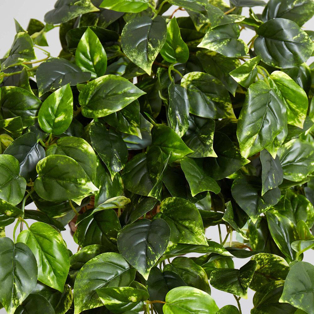 Pothos Hanging Basket UV Resistant (Indoor/Outdoor)