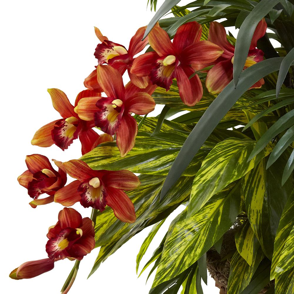 Mixed Tropical & Cymbidium Hanging Basket