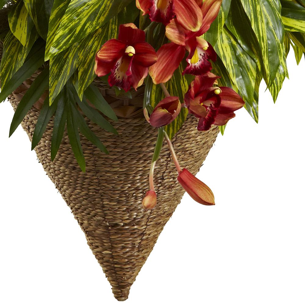 Mixed Tropical & Cymbidium Hanging Basket