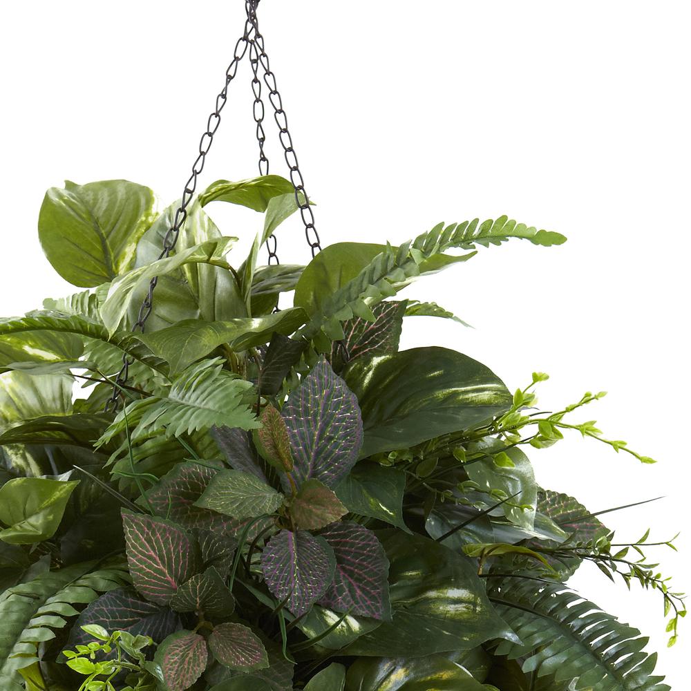 Vining Mixed Greens with Cone Hanging Basket