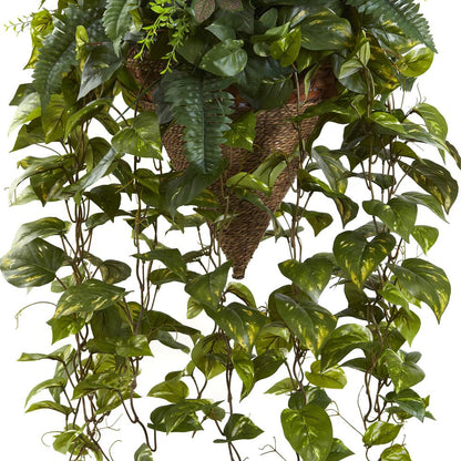 Vining Mixed Greens with Cone Hanging Basket