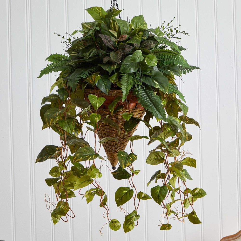 Vining Mixed Greens with Cone Hanging Basket
