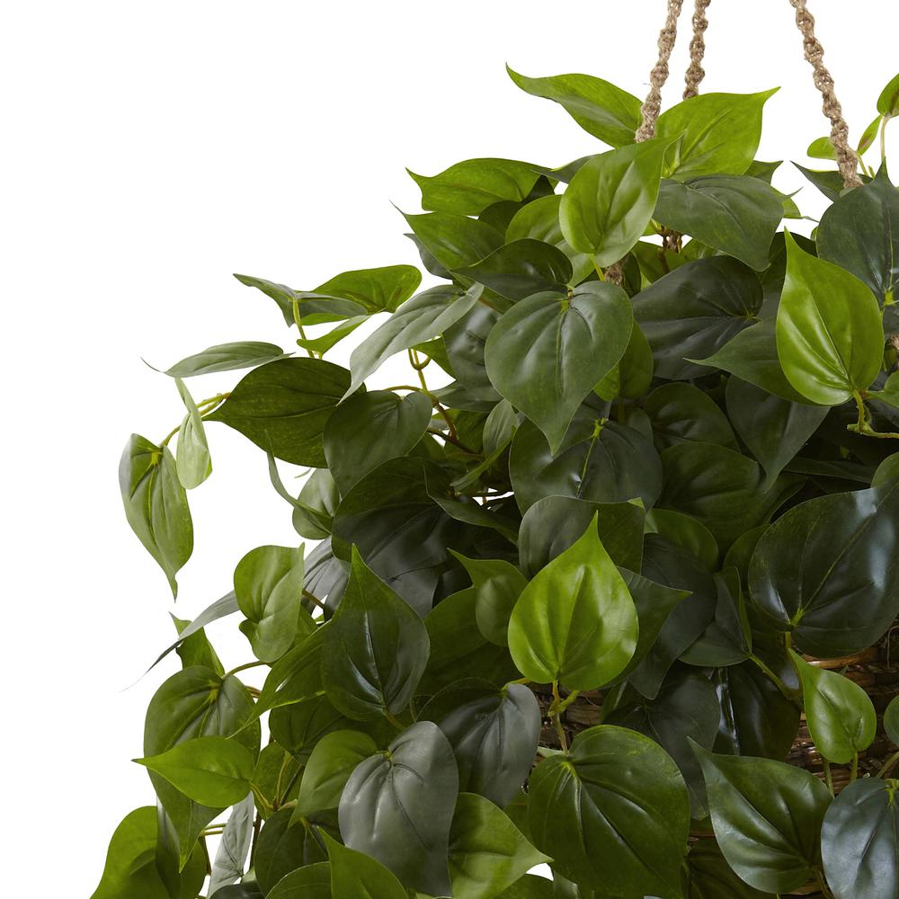 Philodendron Hanging Basket UV Resistant (Indoor/Outdoor)