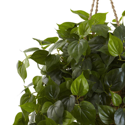 Philodendron Hanging Basket UV Resistant (Indoor/Outdoor)