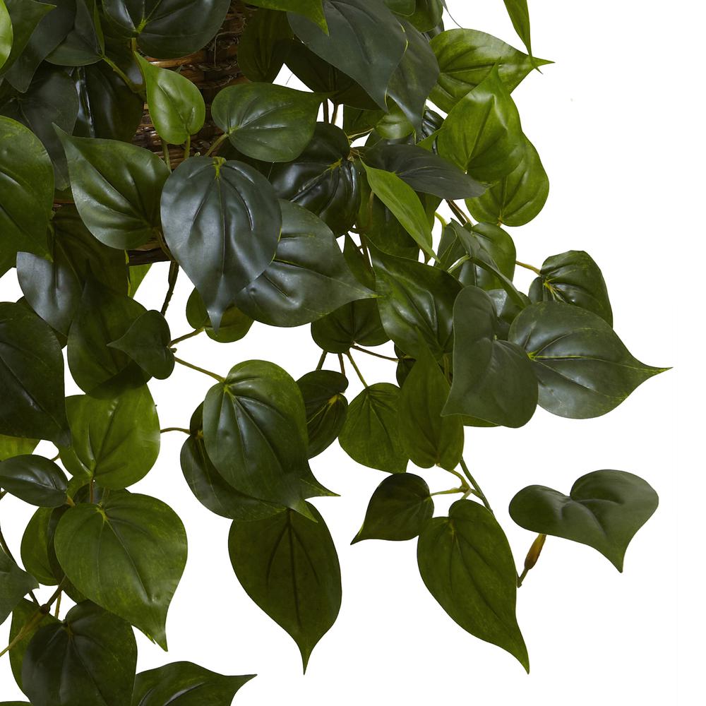 Philodendron Hanging Basket UV Resistant (Indoor/Outdoor)