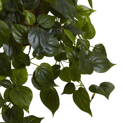 Philodendron Hanging Basket UV Resistant (Indoor/Outdoor)