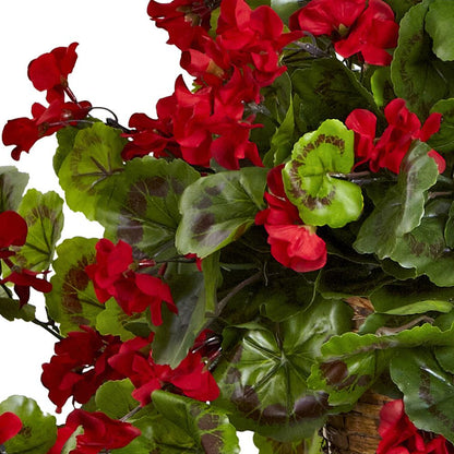 Geranium Hanging Basket UV Resistant (Indoor/Outdoor)