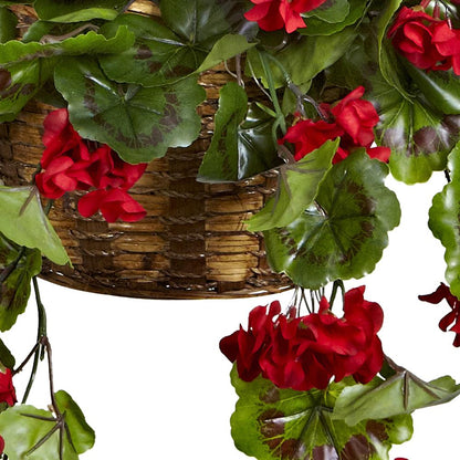 Geranium Hanging Basket UV Resistant (Indoor/Outdoor)
