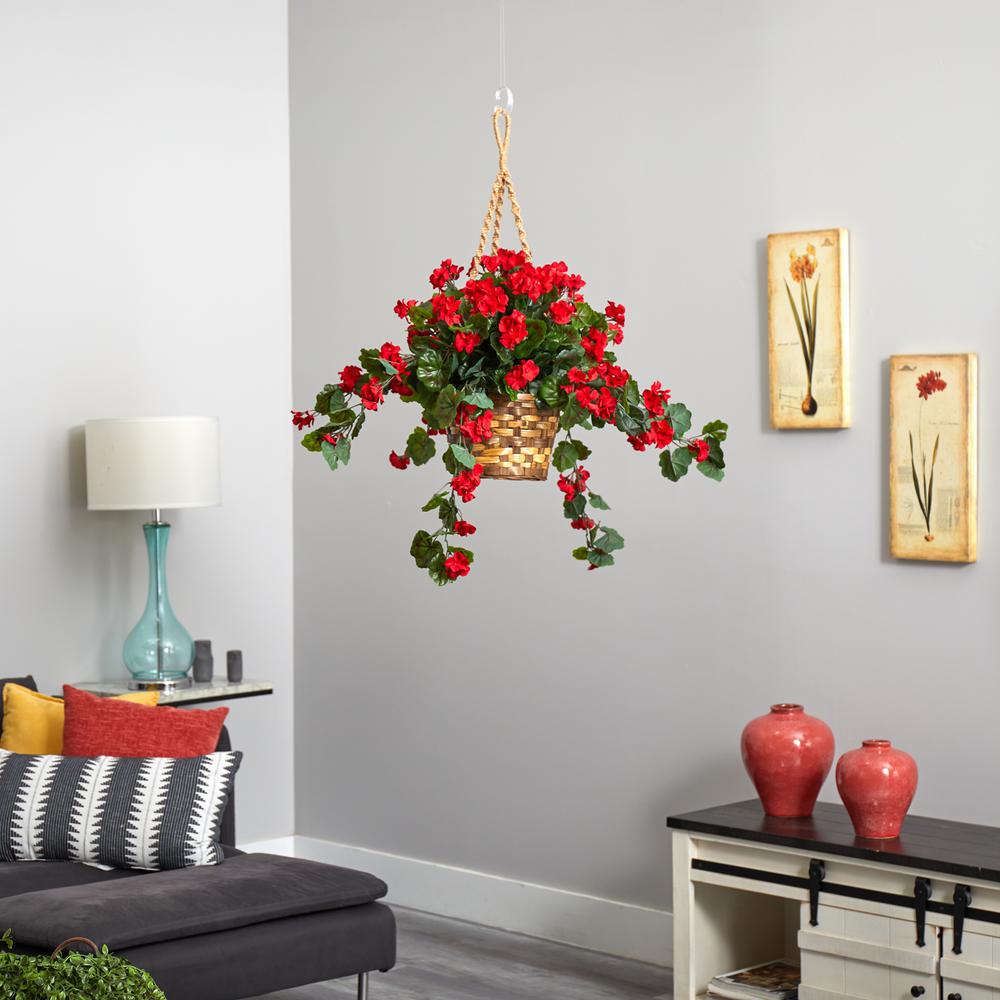 Geranium Hanging Basket UV Resistant (Indoor/Outdoor)