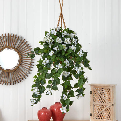 Bougainvillea Hanging Basket