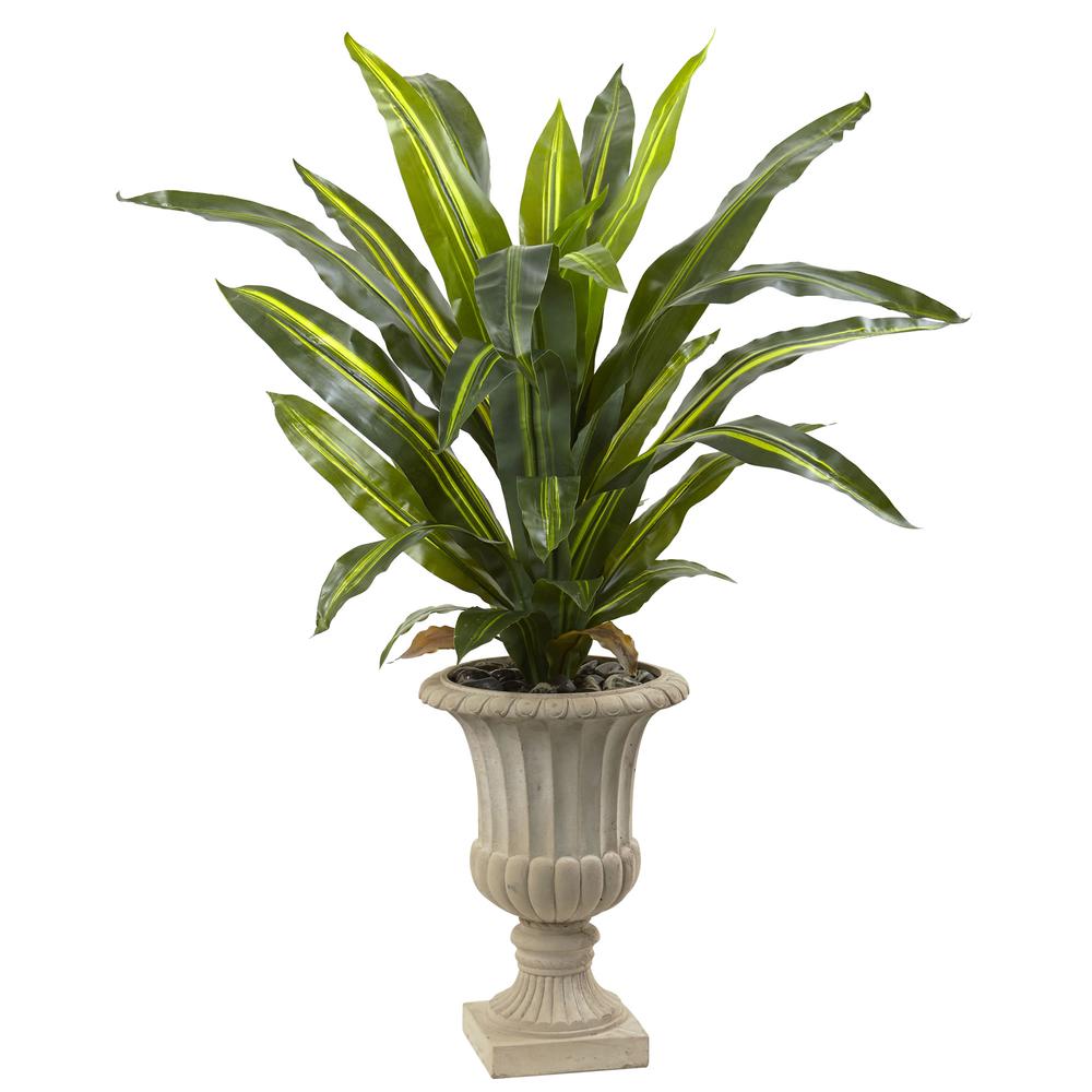 5ft. Dracaena Plant with Urn (Real Touch)