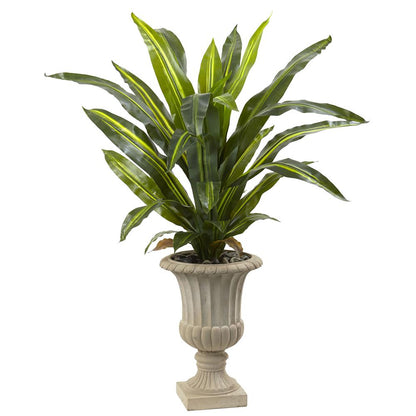 5ft. Dracaena Plant with Urn (Real Touch)
