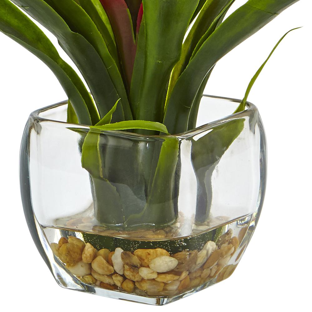 Bromeliad with Glass Vase Arrangement, Red
