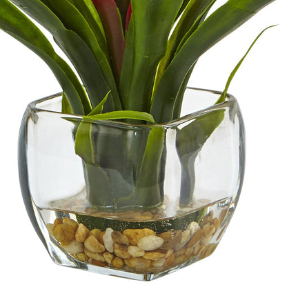 Bromeliad with Glass Vase Arrangement, Red