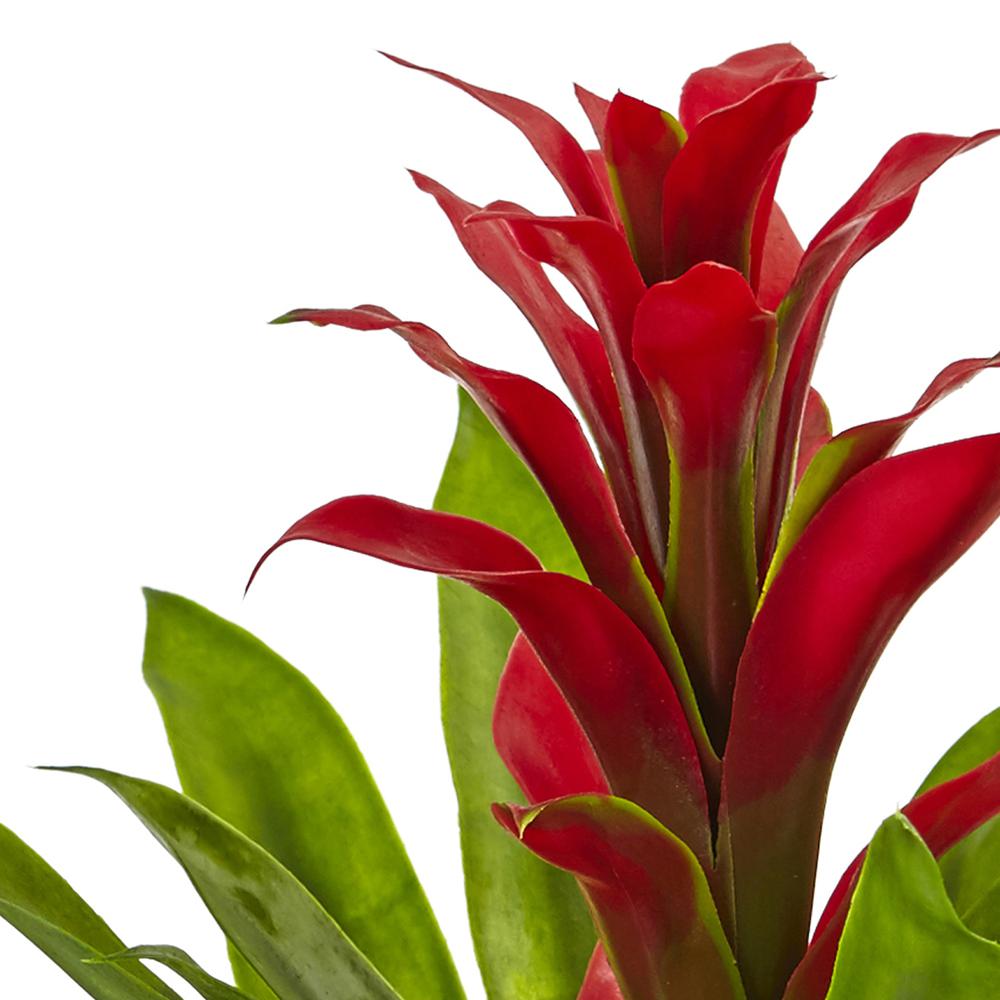 Bromeliad with Glass Vase Arrangement, Red