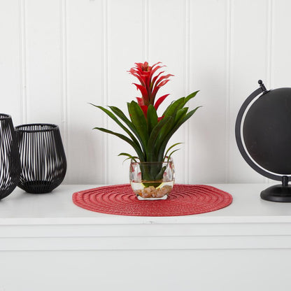 Bromeliad with Glass Vase Arrangement, Red