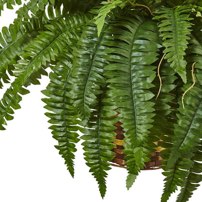 Boston Fern Hanging Basket Green
