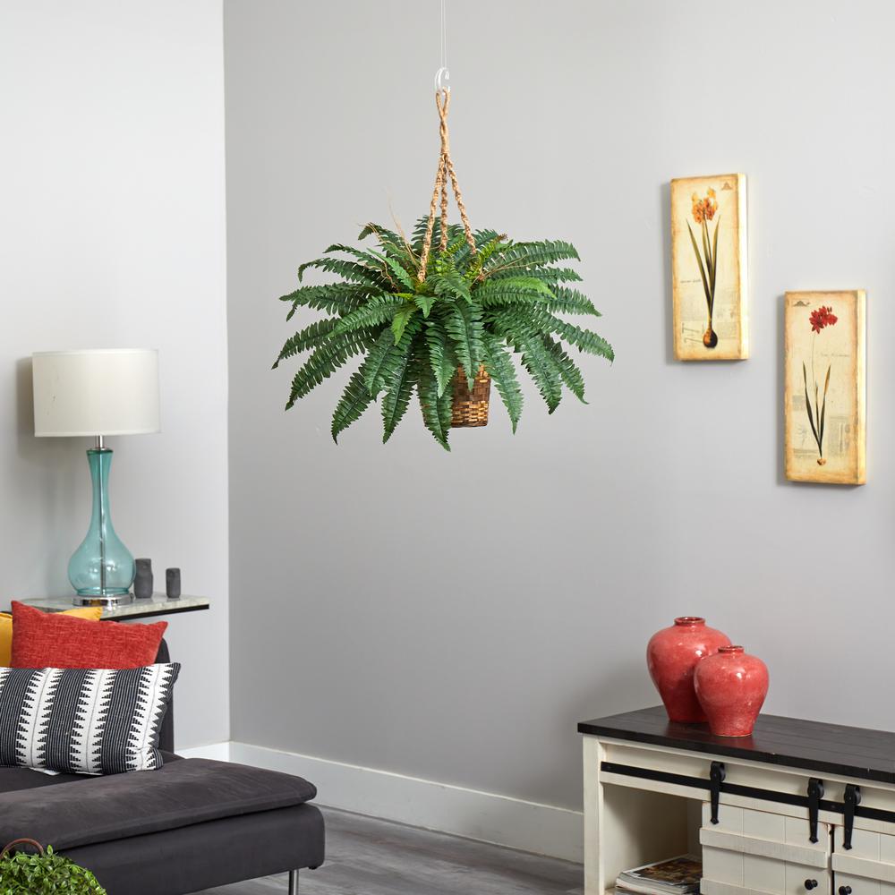 Boston Fern Hanging Basket Green