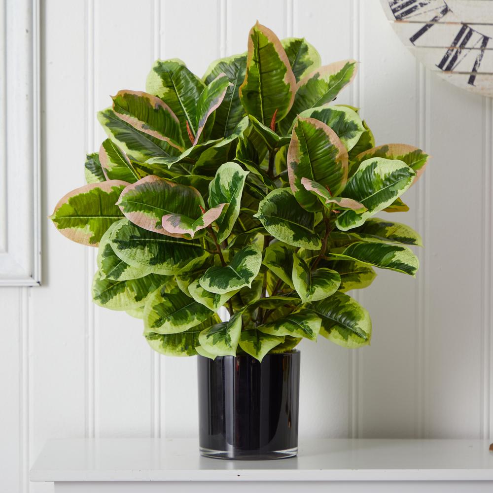 Artificial Rubber Plant in Glossy Cylinder (Real Touch)