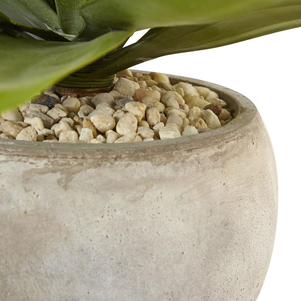 24in. Agave Artificial Plant in Sand Colored Bowl