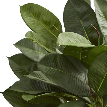 Oak Ficus Artificial Plant