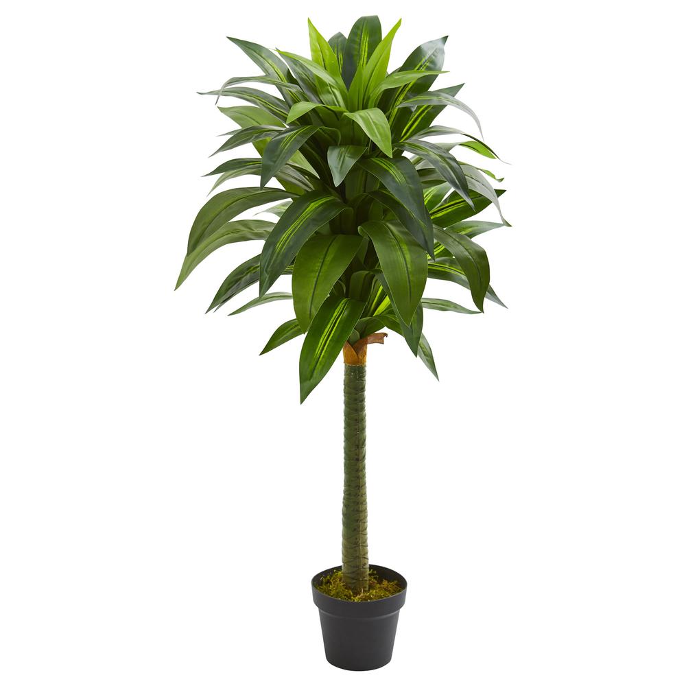 45in. Dracaena Artificial Plant