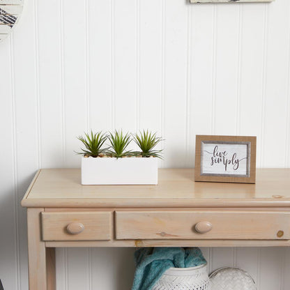 Mini Agave Artificial Plant in Rectangular Ceramic