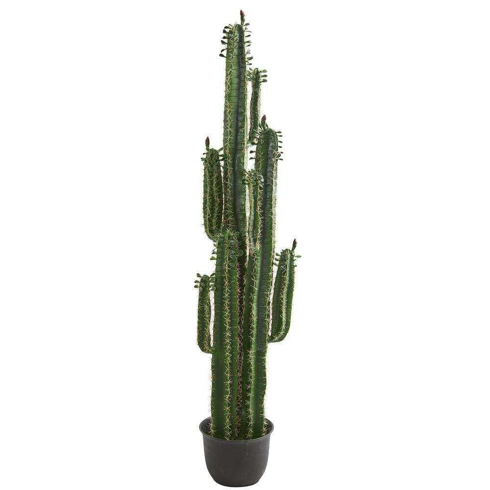 6.5ft. Cactus Artificial Plant