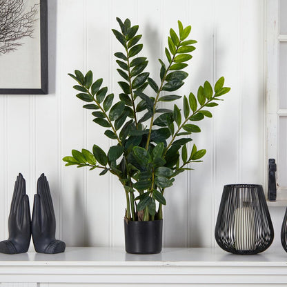3ft. Zamioculcas Artificial Plant