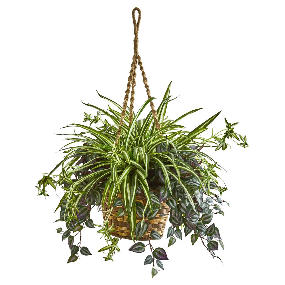 30in. Wandering Jew & Spider Artificial Plant in Hanging Basket