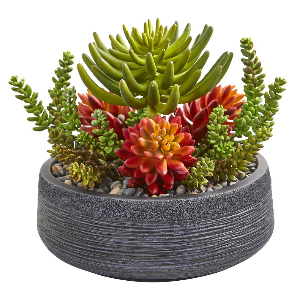 12in. Succulent Garden Artificial Plant in Bowl